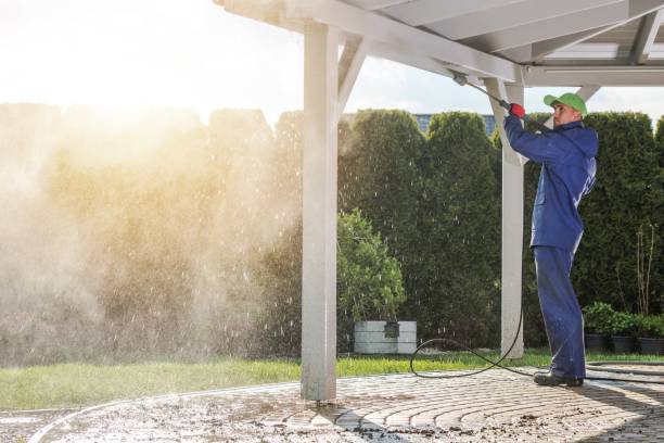 Best Driveway Pressure Washing  in Peculiar, MO